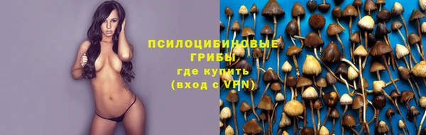 винт Горно-Алтайск