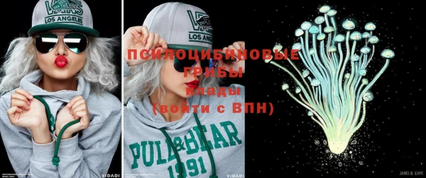 винт Горно-Алтайск