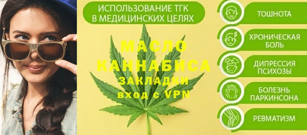 хмурый Горняк