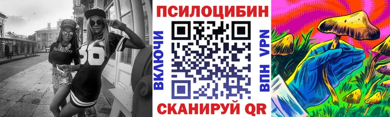 Псилоцибиновые грибы Psilocybe  Зубцов 