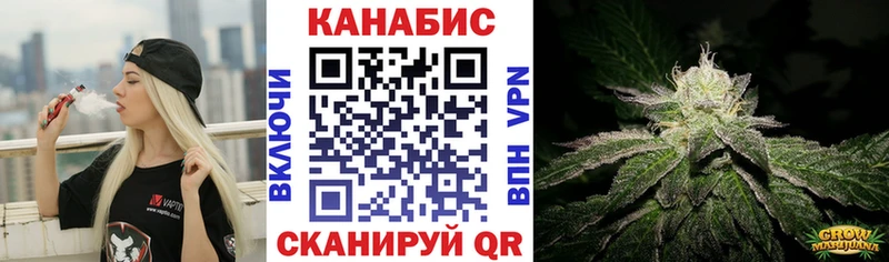 Канабис планчик  Зубцов 